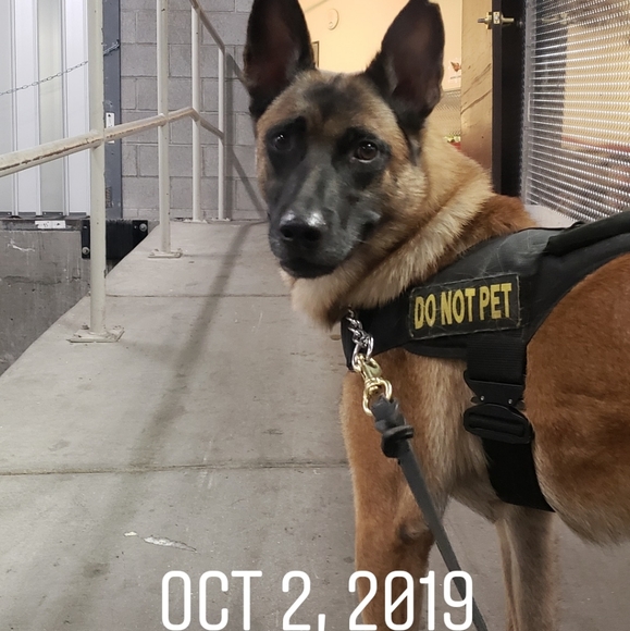 Meet your Posher, Michelle - Picture 8 of 11